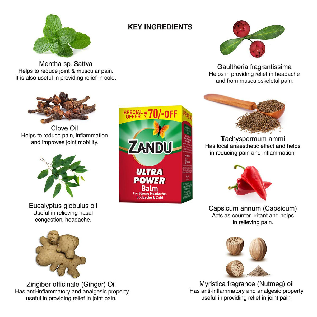 Zandu Ultra Power Balm, 50 ml, Pack of 1 Zandu Ultra Power Balm, 50 ml, Pack of 1