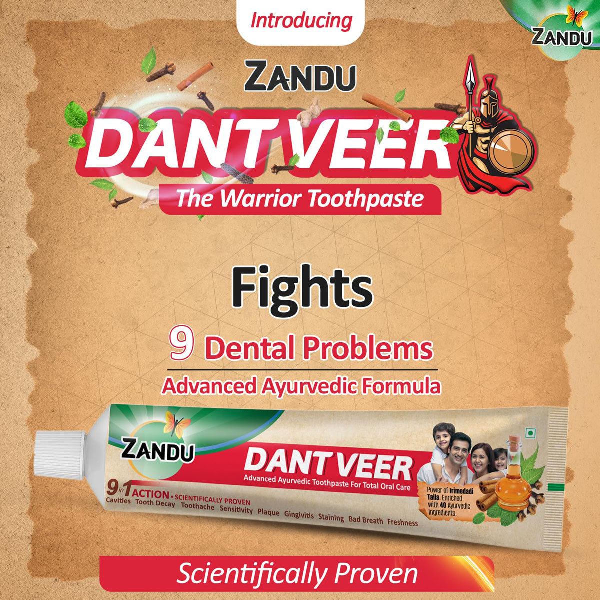 Zandu Dant Veer Toothpaste, 100 gm, Pack of 1 Zandu Dant Veer Toothpaste, 100 gm, Pack of 1