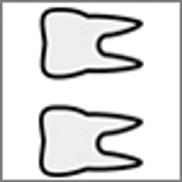 Pyonil Gum Paint, Pack of 1