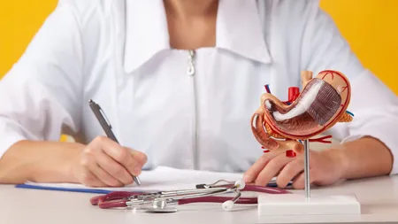 artricle image
