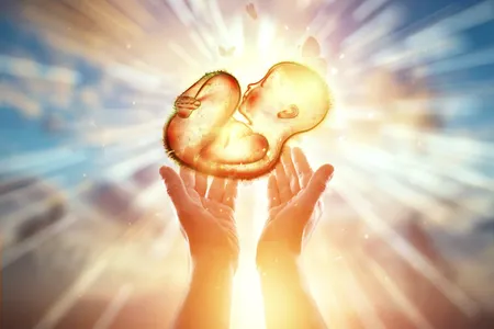 artricle image