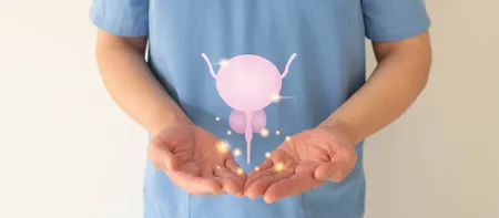 artricle image