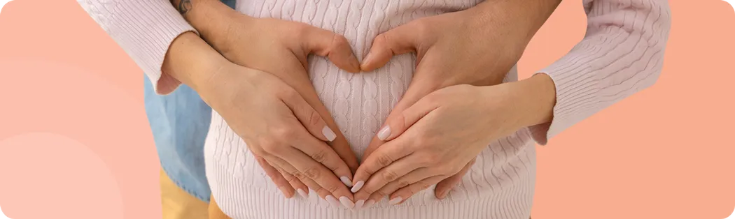 <h1><strong>How to get pregnant</strong></h1>