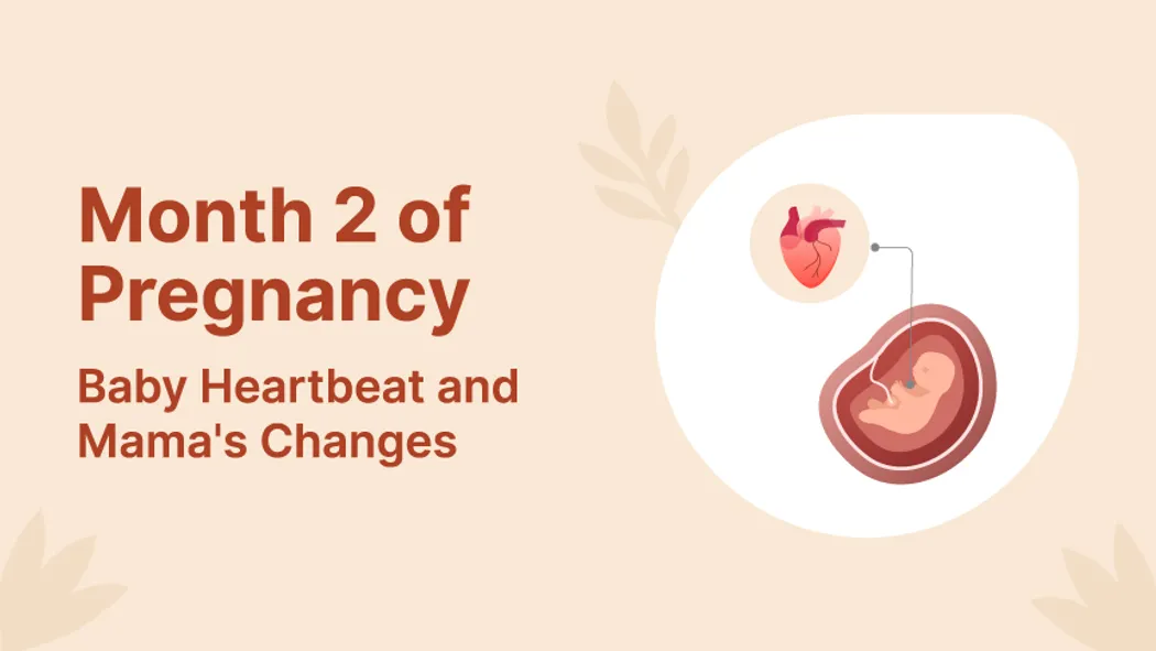 Month 2 of Pregnancy: Baby Heartbeat and Mama's Changes