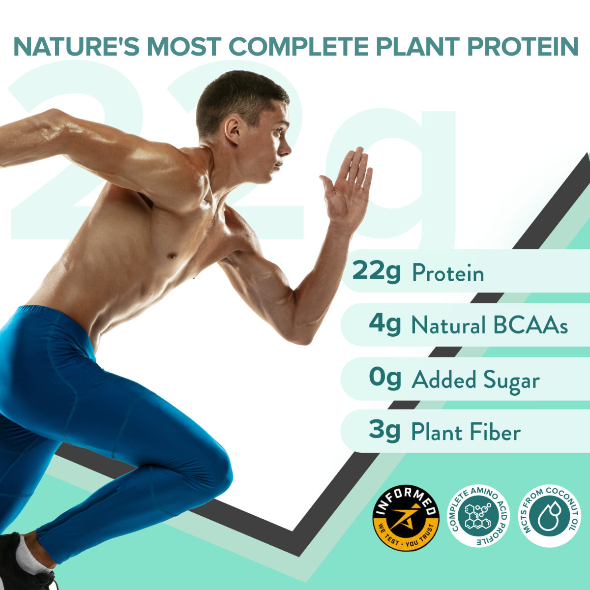 Wellbeing Nutrition Plant Protein French Vanilla Caramel Flavour Powder, 500 gm, Pack of 1 Wellbeing Nutrition Plant Protein French Vanilla Caramel Flavour Powder, 500 gm, Pack of 1