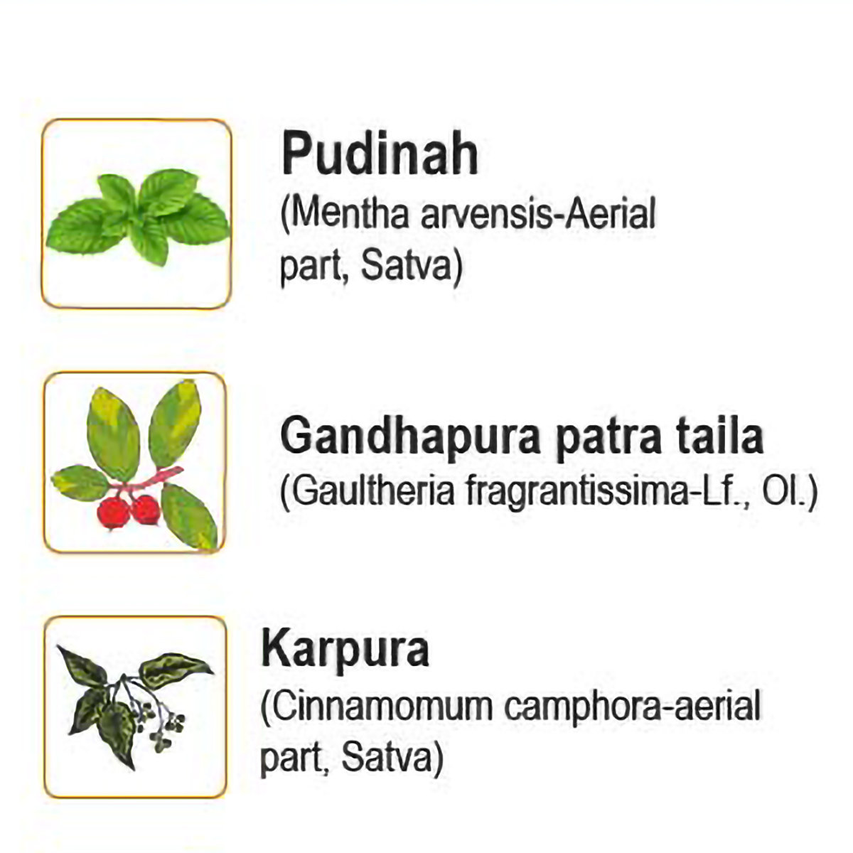 Amrutanjan Extra Power Pain Balm, 8 ml, Pack of 1 Amrutanjan Extra Power Pain Balm, 8 ml, Pack of 1