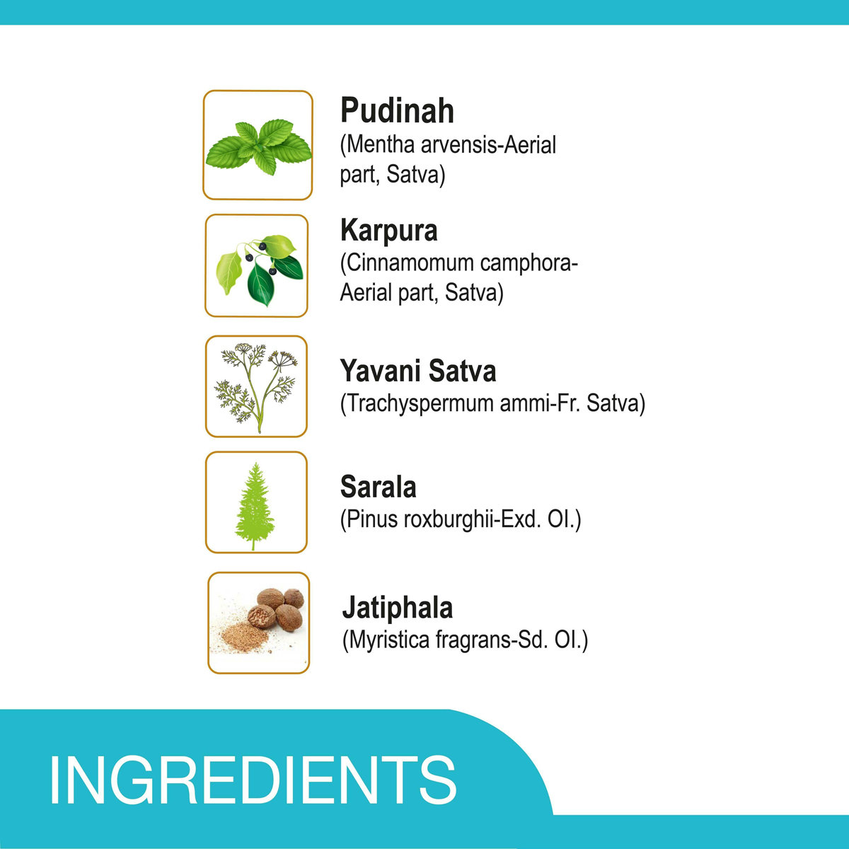 Amrutanjan Relief Cough & Cold Rub, 30 gm, Pack of 1 Amrutanjan Relief Cough & Cold Rub, 30 gm, Pack of 1