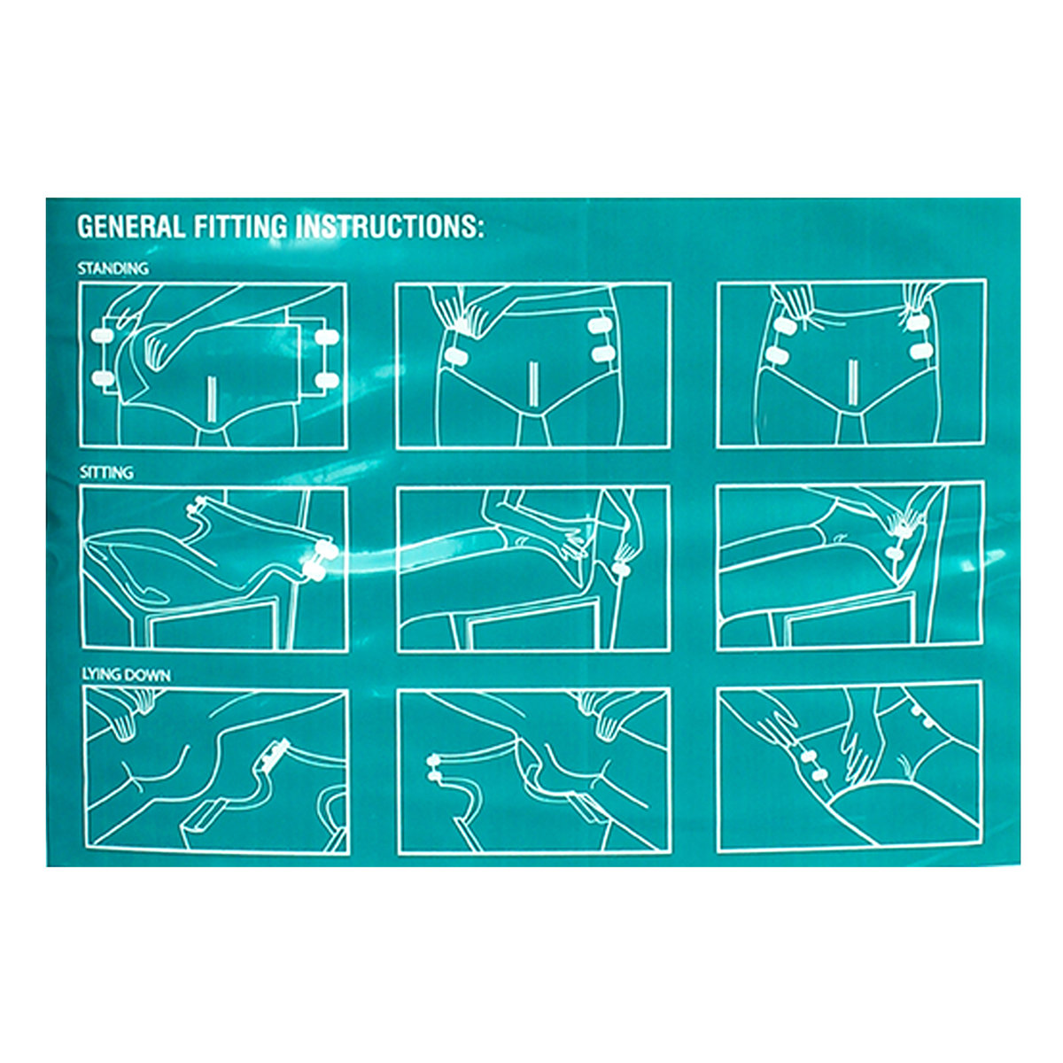 Apollo Life Unisex Adult Diapers XL, 10 Count, Pack of 1 Apollo Life Unisex Adult Diapers XL, 10 Count, Pack of 1