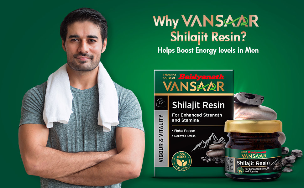 Baidyanath Vansaar Shilajit Resin, 15 gm, Pack of 1 Baidyanath Vansaar Shilajit Resin, 15 gm, Pack of 1