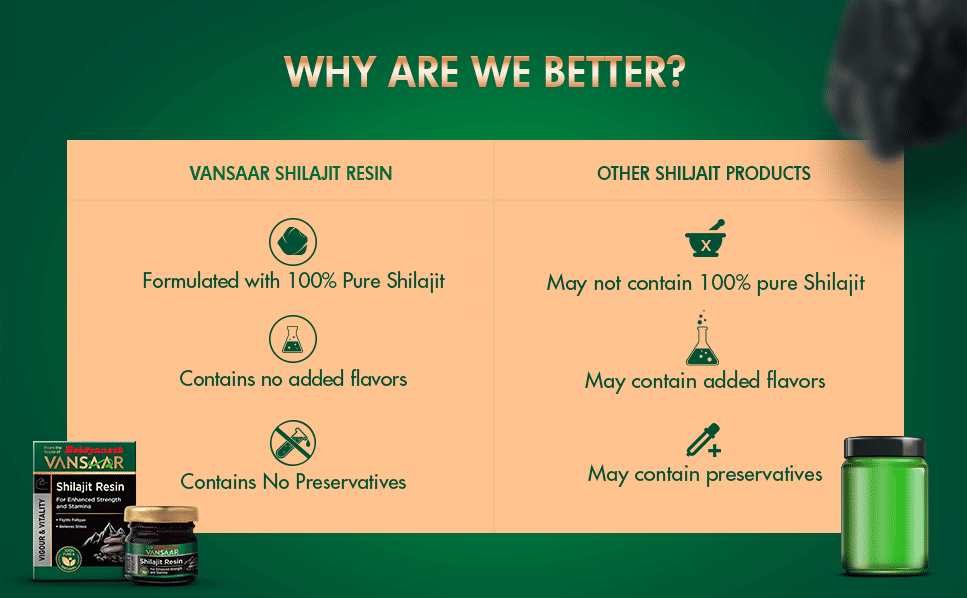 Baidyanath Vansaar Shilajit Resin, 15 gm, Pack of 1 Baidyanath Vansaar Shilajit Resin, 15 gm, Pack of 1