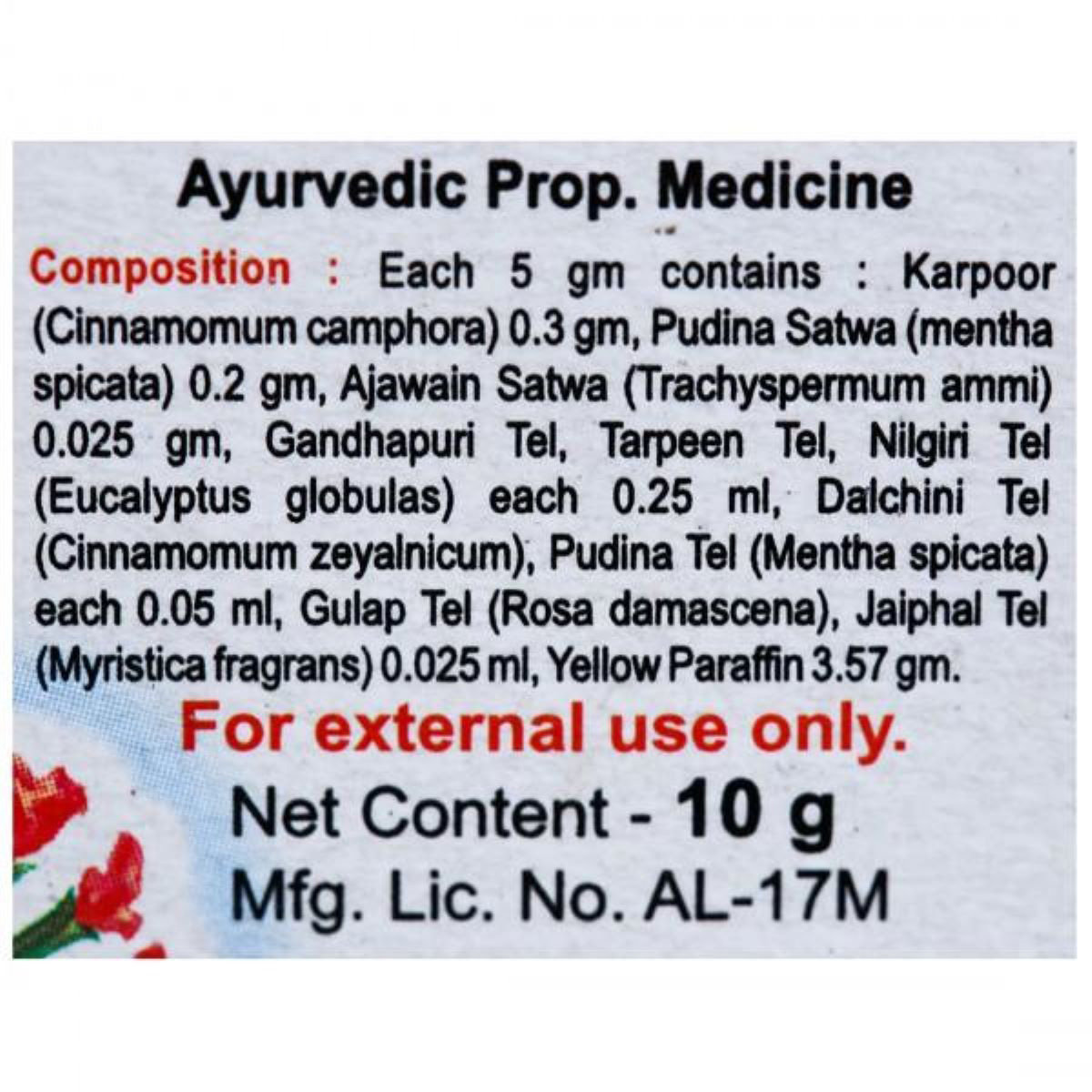 Baidyanath Balm, 10 gm, Pack of 1 Baidyanath Balm, 10 gm, Pack of 1