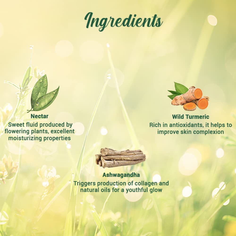 Biotique Morning Nectar Nourish & Hydrate Moisturizer 190 ml | Wild Turmeric, Ashwagandha, Neem Leaves & Ginegr | Removes Blemishes & Dark Spots | Helps In Nourishing & Hydrating | For Visibly Flawless Skin | 100% Botanical Extarct | For All Skin Type, Pack of 1 Biotique Morning Nectar Nourish & Hydrate Moisturizer 190 ml | Wild Turmeric, Ashwagandha, Neem Leaves & Ginegr | Removes Blemishes & Dark Spots | Helps In Nourishing & Hydrating | For Visibly Flawless Skin | 100% Botanical Extarct | For All Skin Type, Pack of 1