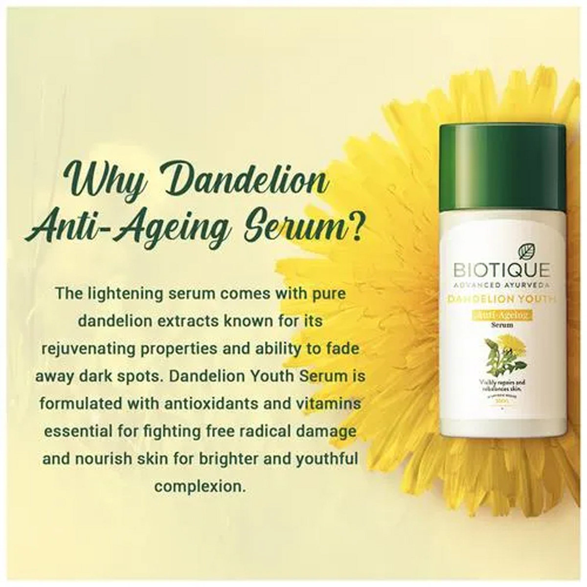 Biotique Dandelion Youth Anti-Ageing Serum 35 ml | Dandelion, Almond | Reduces Dark Spots & Wrinkles | Visibly Repair & Rebalanced Skin | 100% Botanical Extract | For All Skin Type, Pack of 1 Biotique Dandelion Youth Anti-Ageing Serum 35 ml | Dandelion, Almond | Reduces Dark Spots & Wrinkles | Visibly Repair & Rebalanced Skin | 100% Botanical Extract | For All Skin Type, Pack of 1