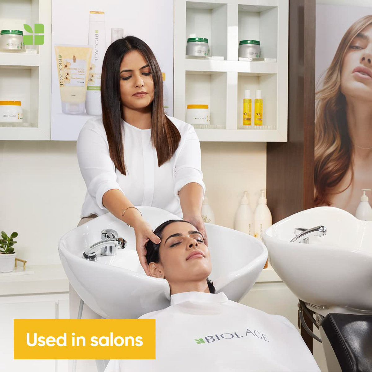 Biolage Smoothproof Camellia Conditioner, 98 gm, Pack of 1 Biolage Smoothproof Camellia Conditioner, 98 gm, Pack of 1