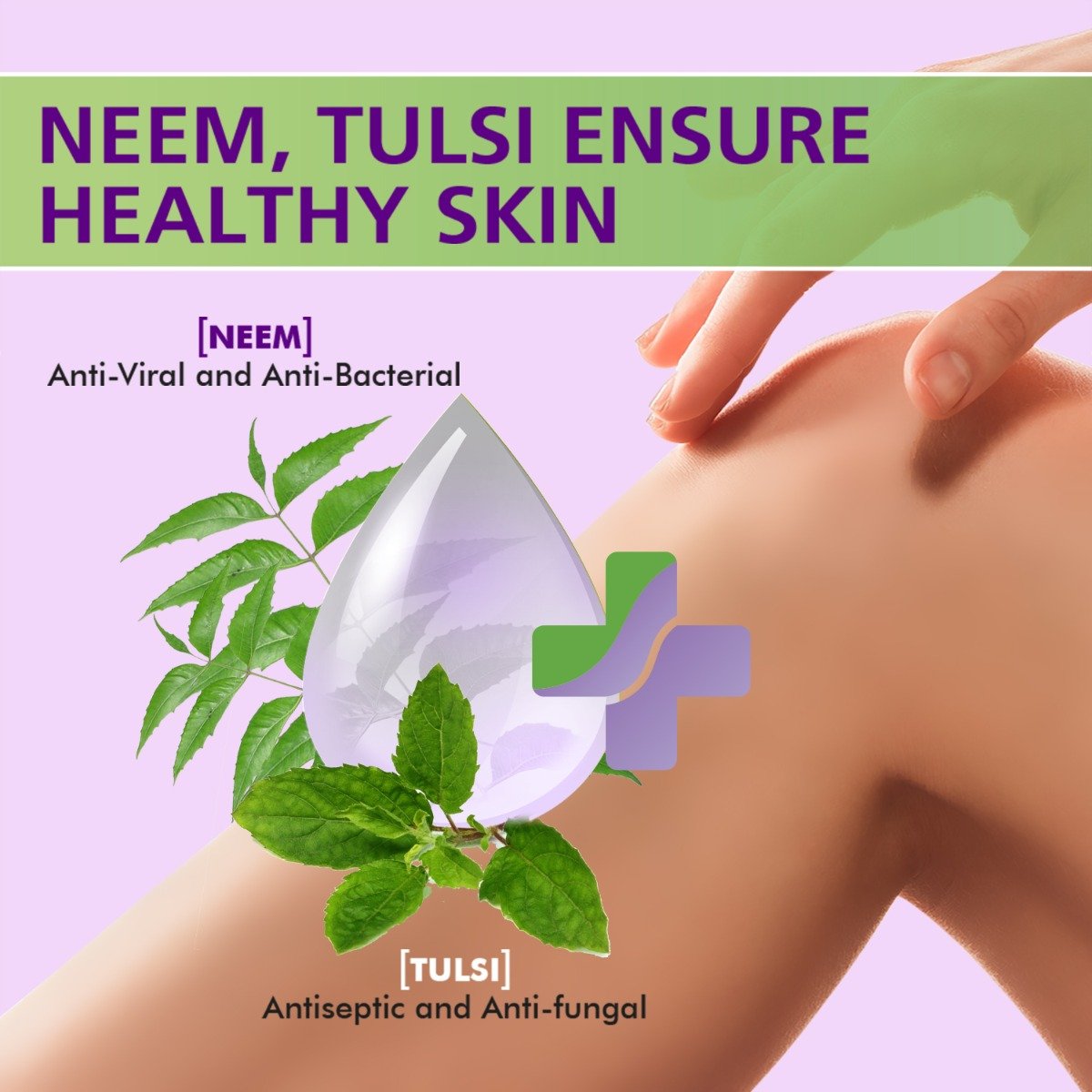 Boroplus Antiseptic + Moisturising Neem, Tulsi & Aloe Vera Soap 75 gm | Kills 99.99% Germs & Viruses | Keeps Skin Soft & Moisturised, Pack of 1 Boroplus Antiseptic + Moisturising Neem, Tulsi & Aloe Vera Soap 75 gm | Kills 99.99% Germs & Viruses | Keeps Skin Soft & Moisturised, Pack of 1