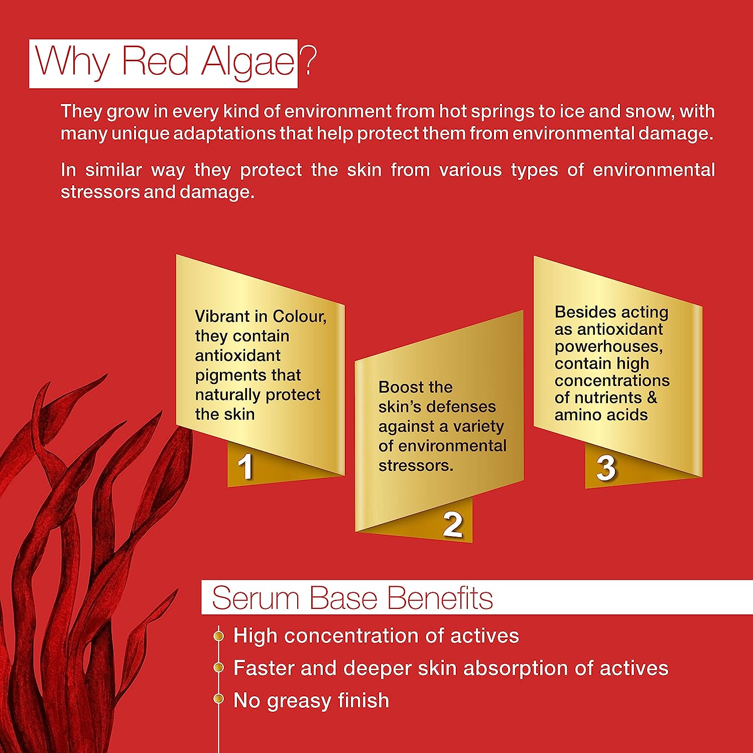 Botanica 3D Serum, 30 ml, Pack of 1 Botanica 3D Serum, 30 ml, Pack of 1