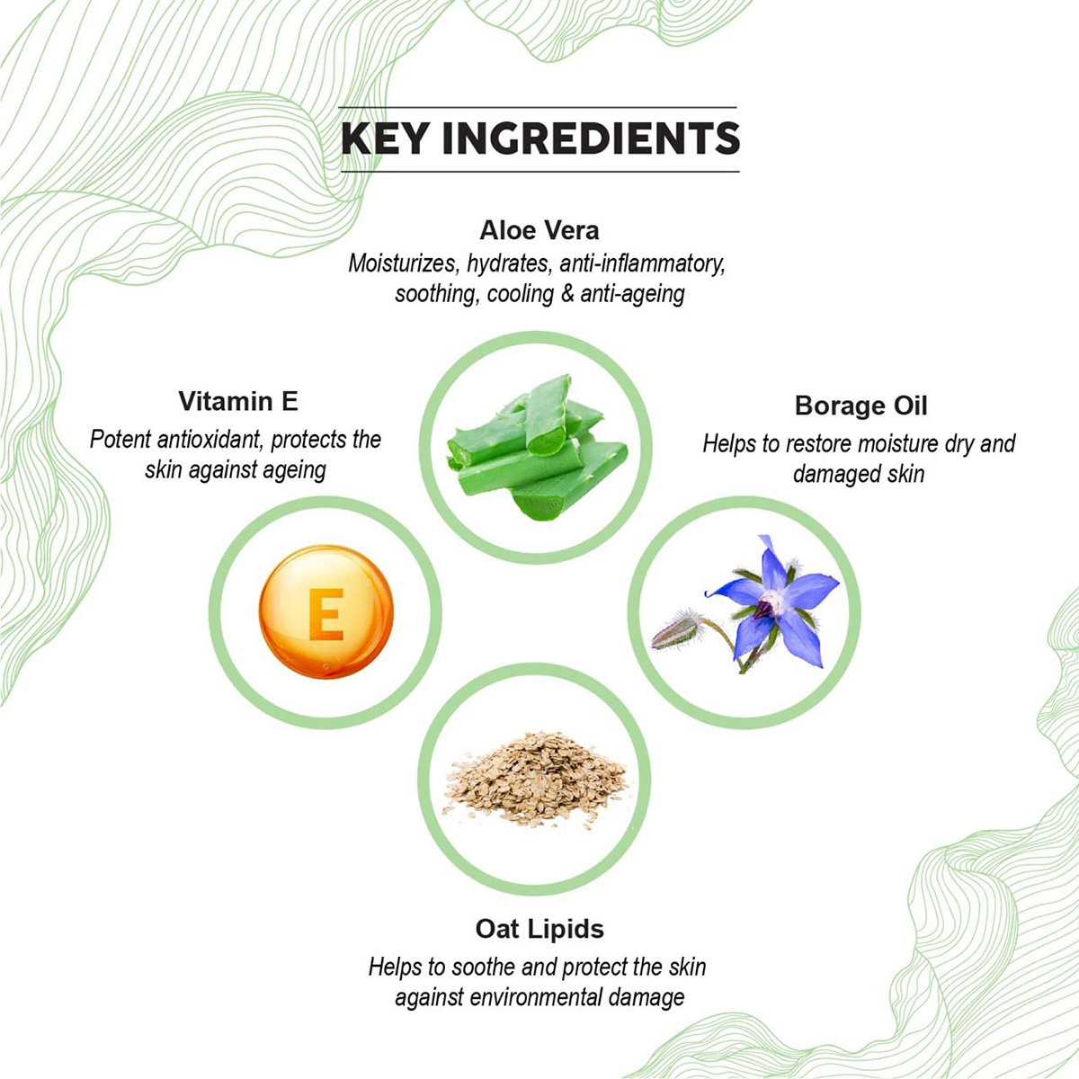 Colorbar Co-Earth Aloe Vera Body Lotion 300 ml | Vitamin E, Oat Lipids & Borage Oil | Deep Moisturisation | Soothes & Hydrates | Gives Smooth Skin | Lightweight & Fast Absorbing, Pack of 1 Colorbar Co-Earth Aloe Vera Body Lotion 300 ml | Vitamin E, Oat Lipids & Borage Oil | Deep Moisturisation | Soothes & Hydrates | Gives Smooth Skin | Lightweight & Fast Absorbing, Pack of 1