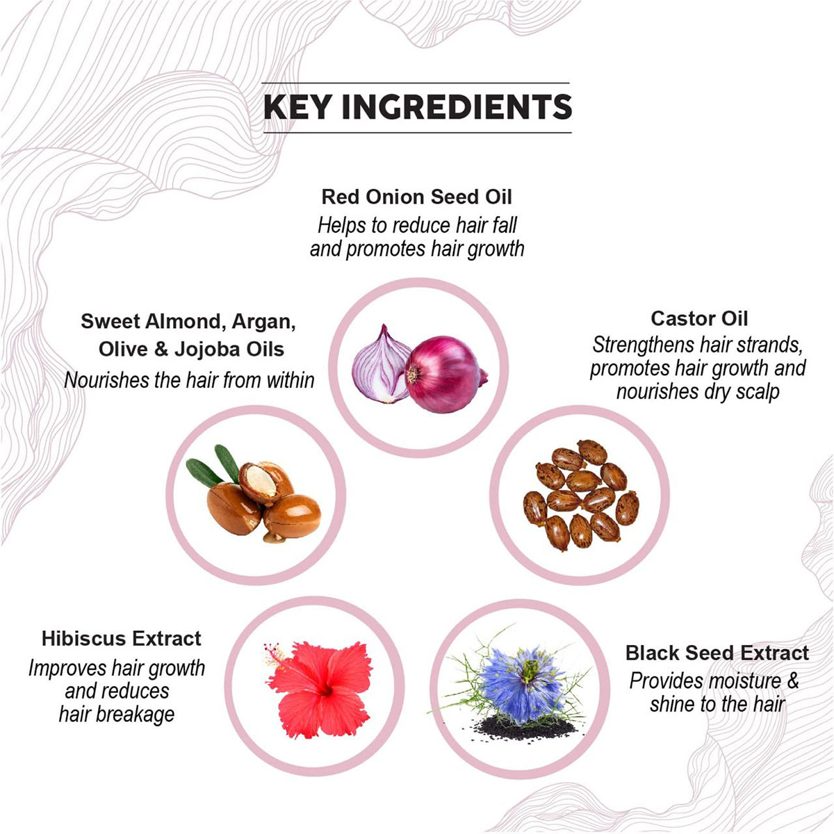 Colorbar Co-Earth Onion Hair Oil, 250 ml, Pack of 1 Colorbar Co-Earth Onion Hair Oil, 250 ml, Pack of 1