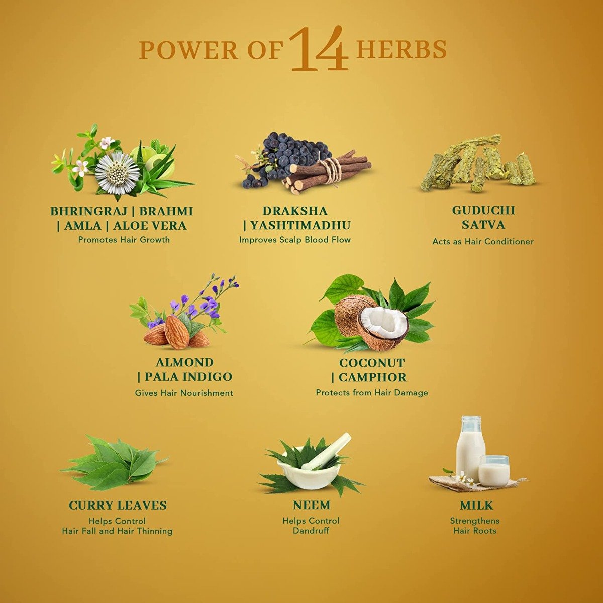 Dabur Vatika Neelibhringa 21 Hair Growth Oil, 50 ml, Pack of 1 Dabur Vatika Neelibhringa 21 Hair Growth Oil, 50 ml, Pack of 1