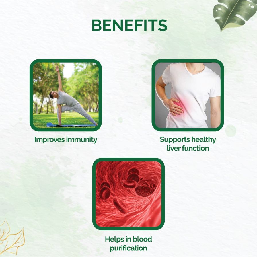 Dr. Vaidya's Giloy Immunity Enhancer, 60 Capsules (2 x 30 Capsules), Pack of 1 Dr. Vaidya's Giloy Immunity Enhancer, 60 Capsules (2 x 30 Capsules), Pack of 1