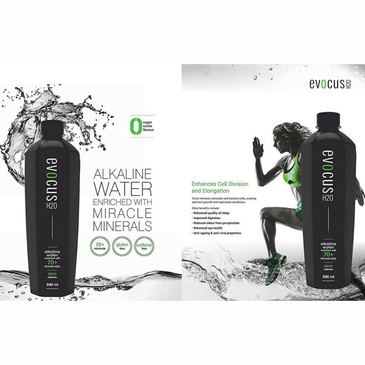 Evocus H20 Alkaline Water, 500 ml, Pack of 1 Evocus H20 Alkaline Water, 500 ml, Pack of 1