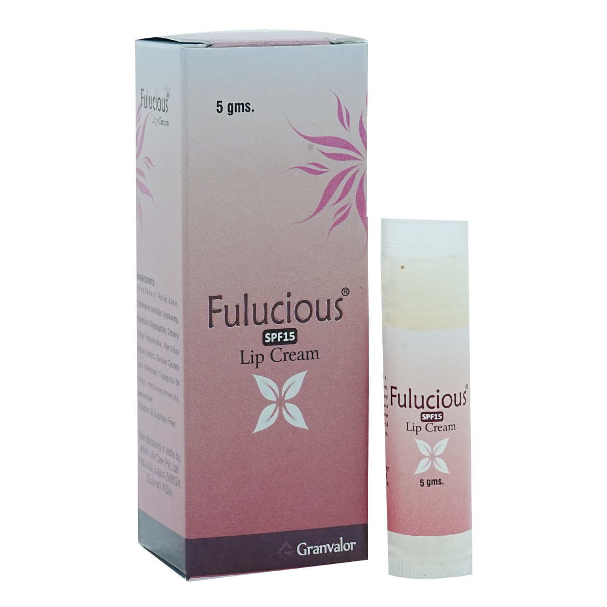 Fulucious SPF 15 Lip Cream 5 gm, Pack of 1 Fulucious SPF 15 Lip Cream 5 gm, Pack of 1