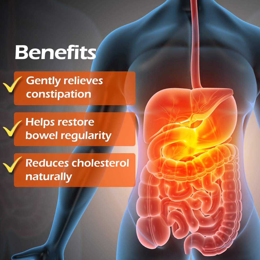 Fybogel Hi-Fibre Isabgol Husk Orange Flavour Powder, 100 gm, Pack of 1 Fybogel Hi-Fibre Isabgol Husk Orange Flavour Powder, 100 gm, Pack of 1