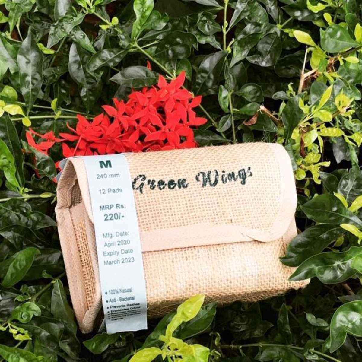 Green Wings Anion Sanitary Napkin Medium, 12 Count, Pack of 1 Green Wings Anion Sanitary Napkin Medium, 12 Count, Pack of 1