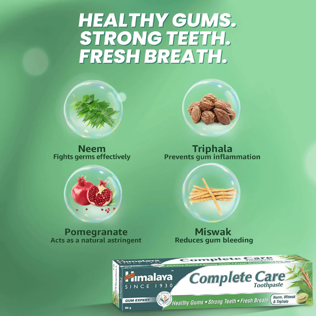 Himalaya Complete Care Herbal Toothpaste, 40 gm, Pack of 1 Himalaya Complete Care Herbal Toothpaste, 40 gm, Pack of 1
