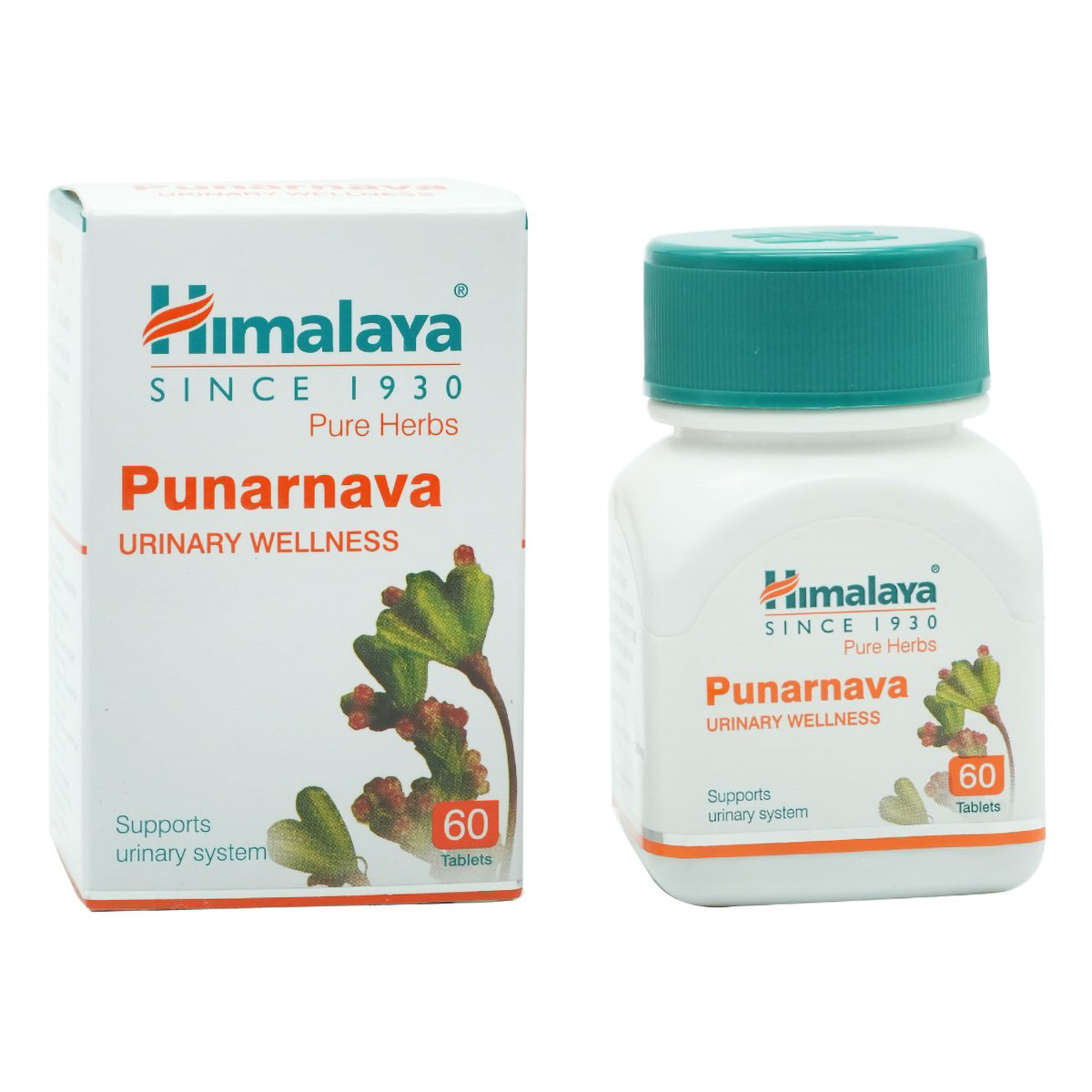 Himalaya Punarnava, 60 Tablets, Pack of 1 Himalaya Punarnava, 60 Tablets, Pack of 1