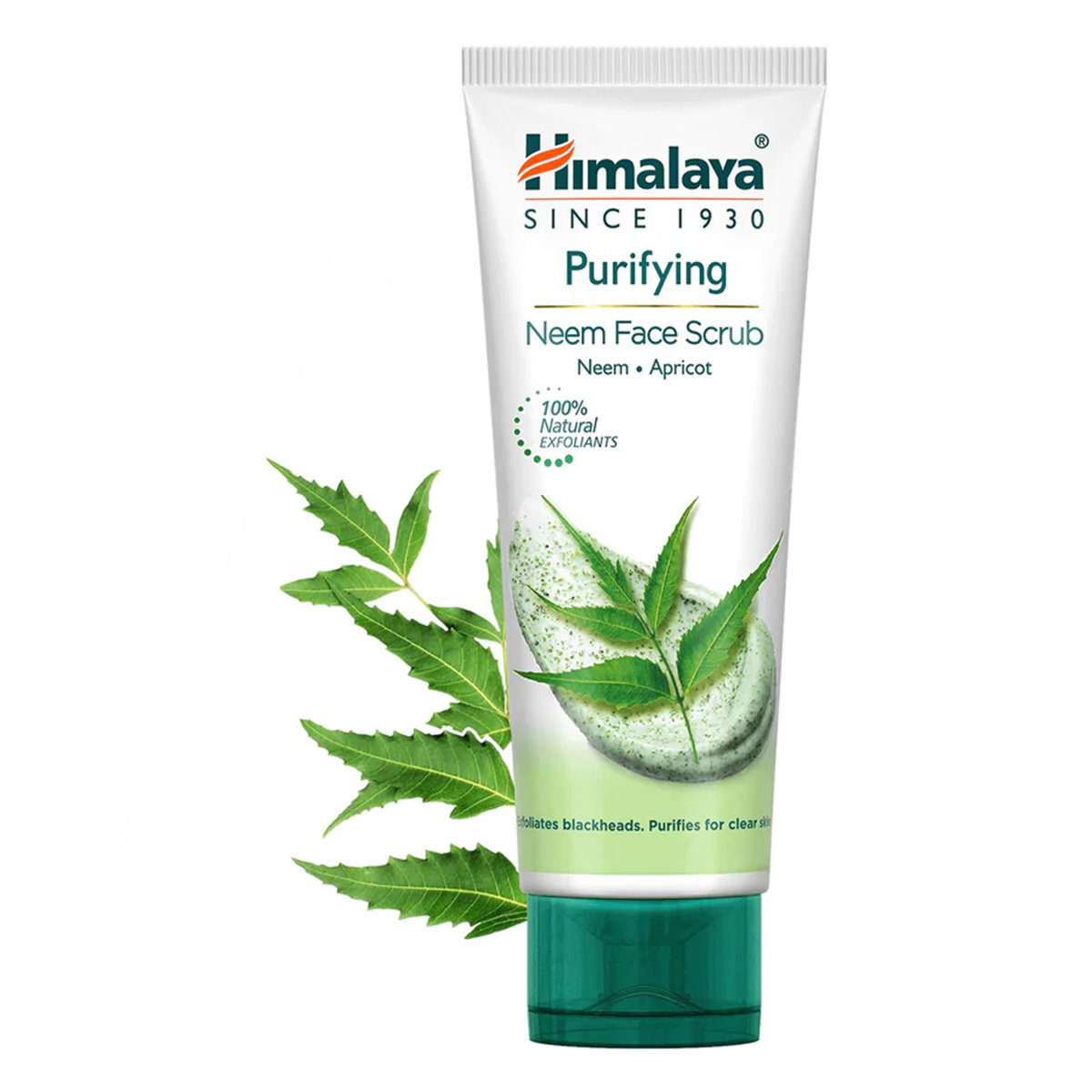 Himalaya Purifying Neem Face Scrub 50 gm | Neem & Apricot | Removes Blackheads, Dead Cells & Impurities | For Clear Skin, Pack of 1 Himalaya Purifying Neem Face Scrub 50 gm | Neem & Apricot | Removes Blackheads, Dead Cells & Impurities | For Clear Skin, Pack of 1