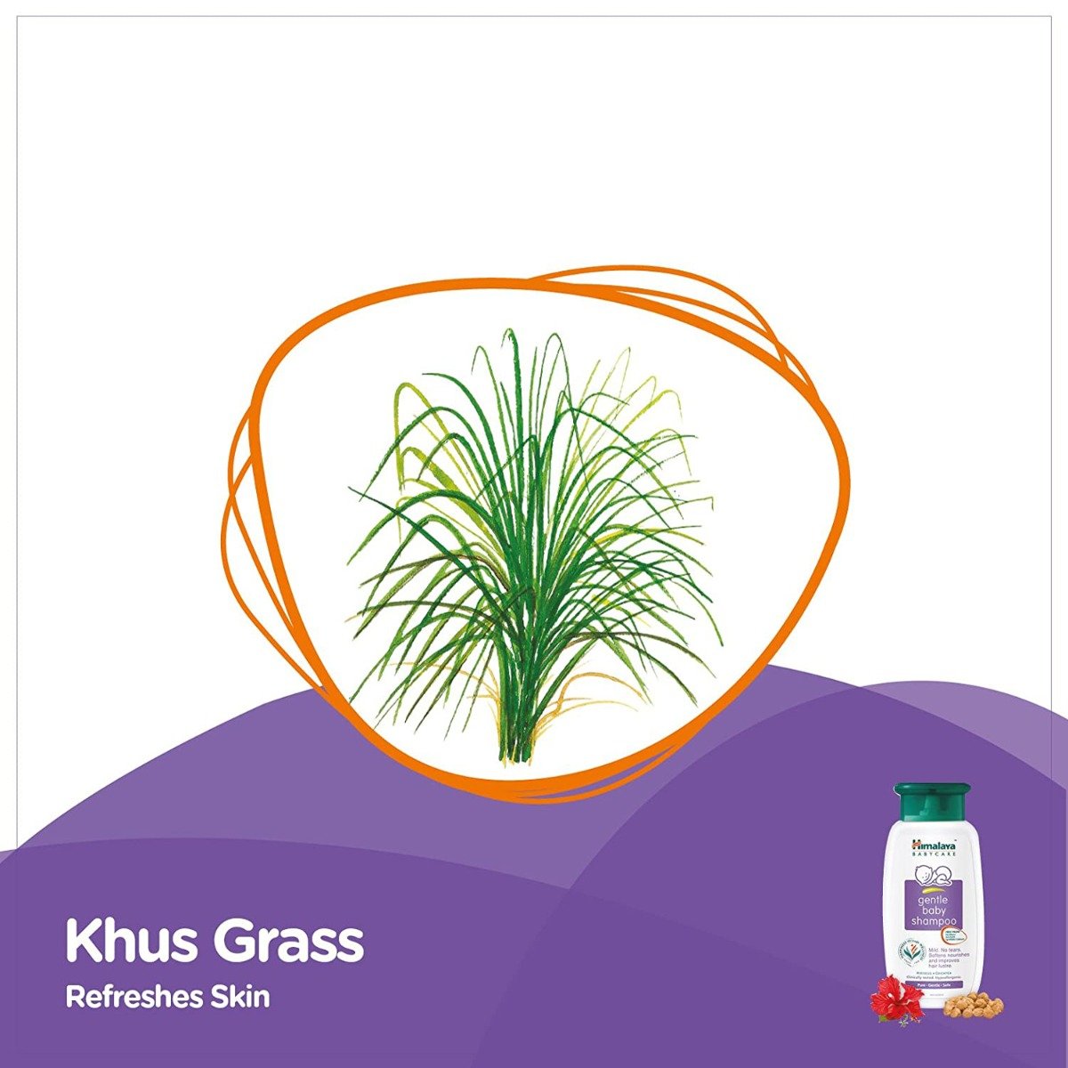 Himalaya Gentle Baby Shampoo, 400 ml, Pack of 1 Himalaya Gentle Baby Shampoo, 400 ml, Pack of 1