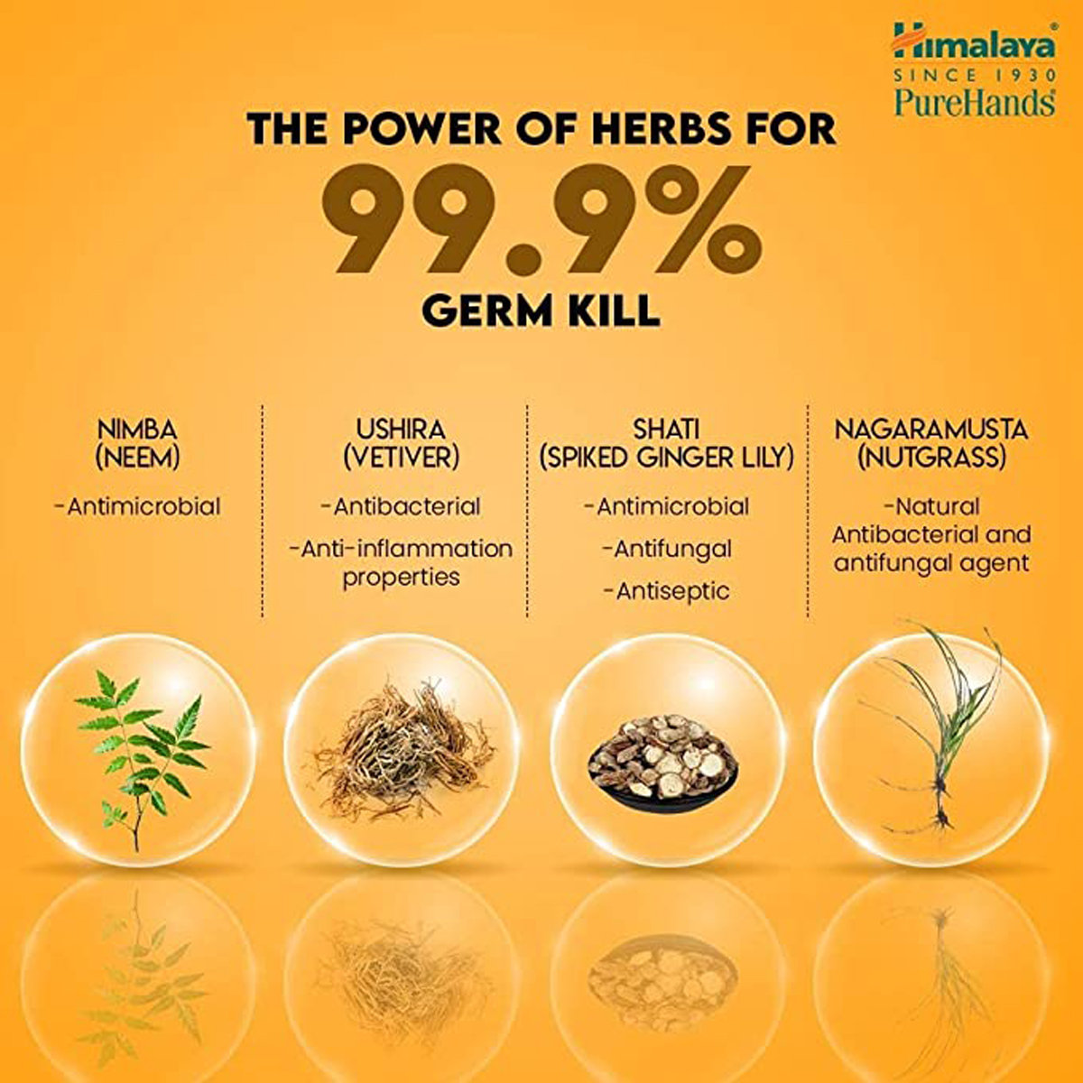 Himalaya Pure Hands Orange Flavour Hand Sanitizer 100 ml | KillS 99.9% Of Germs, Pack of 1 Himalaya Pure Hands Orange Flavour Hand Sanitizer 100 ml | KillS 99.9% Of Germs, Pack of 1