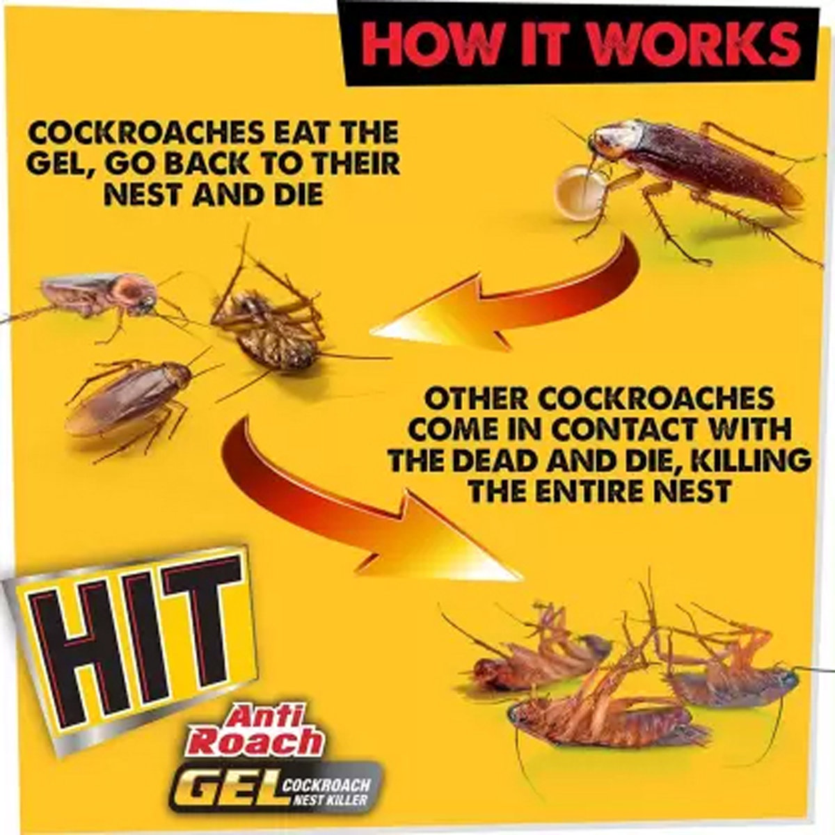 Hit Anti Roach Gel, 20 gm, Pack of 1 Hit Anti Roach Gel, 20 gm, Pack of 1