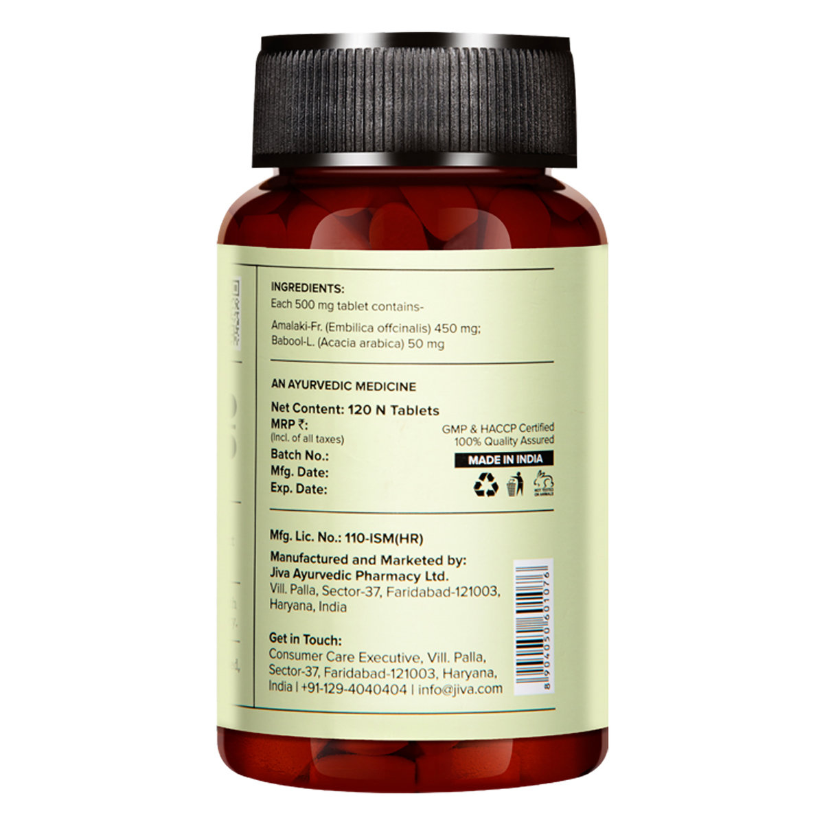 Jiva Amla, 120 Tablets, Pack of 1 Jiva Amla, 120 Tablets, Pack of 1