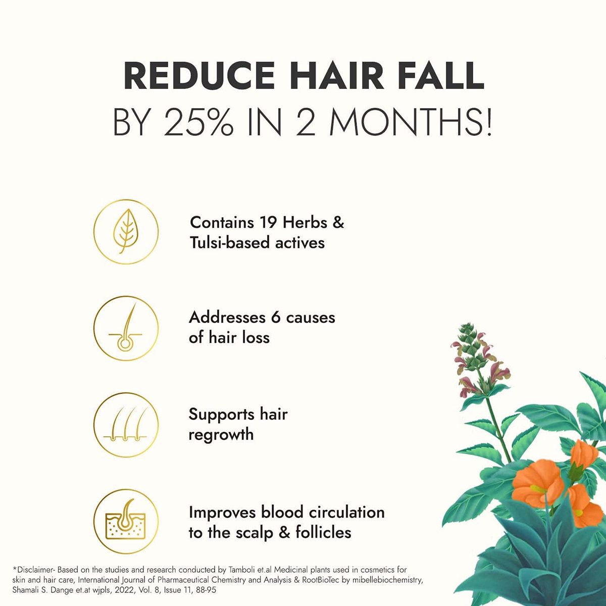 Kapiva Hair Rituals Tulsi Anti Hairfall Oil, 200 ml, Pack of 1 Kapiva Hair Rituals Tulsi Anti Hairfall Oil, 200 ml, Pack of 1