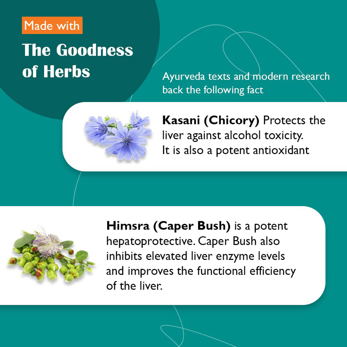 Himalaya Liv.52, 100 Tablets, Pack of 1 Himalaya Liv.52, 100 Tablets, Pack of 1