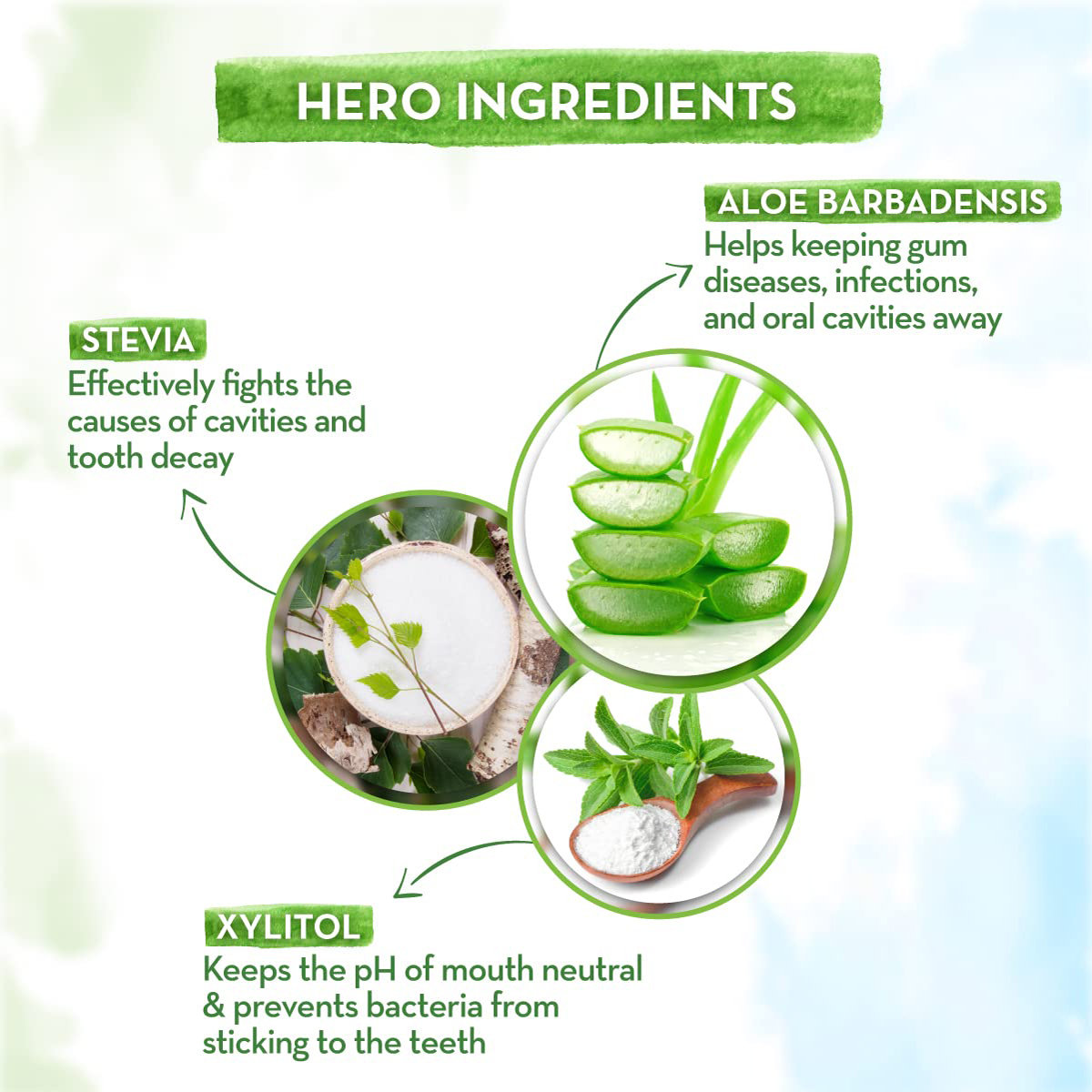 Mamaearth Berry Blast Kids Toothpaste, 50 gm, Pack of 1 Mamaearth Berry Blast Kids Toothpaste, 50 gm, Pack of 1