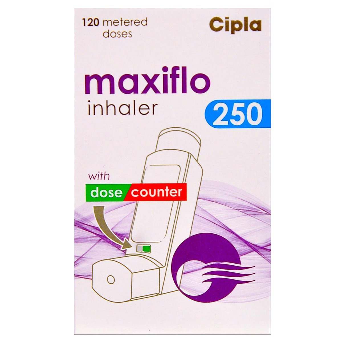 Maxiflo 250 Inhaler 120 mdi, Pack of 1 INHALER Maxiflo 250 Inhaler 120 mdi, Pack of 1 INHALER