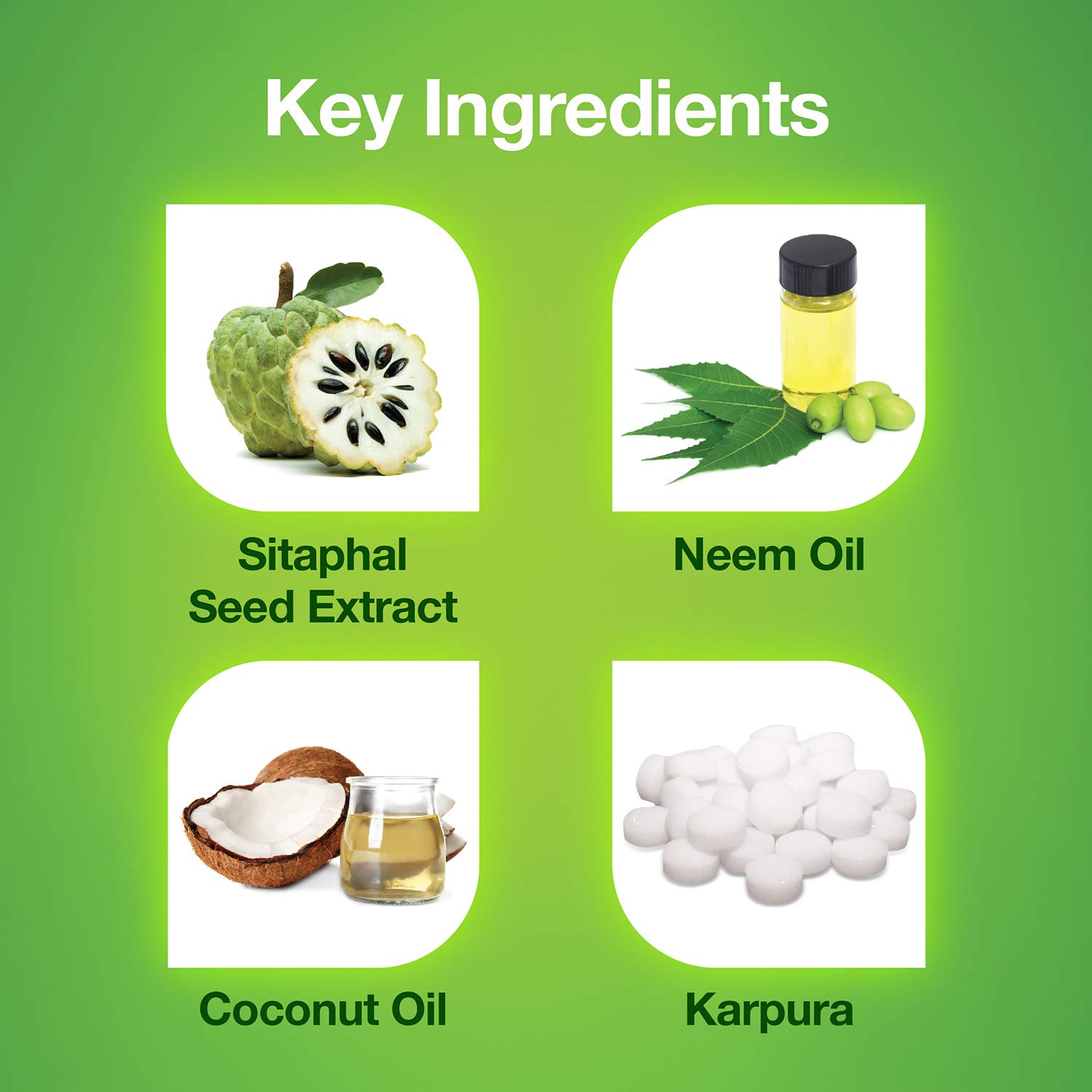 Mediker Naturals Anti-Lice Shampoo, 10 ml, Pack of 1 Mediker Naturals Anti-Lice Shampoo, 10 ml, Pack of 1