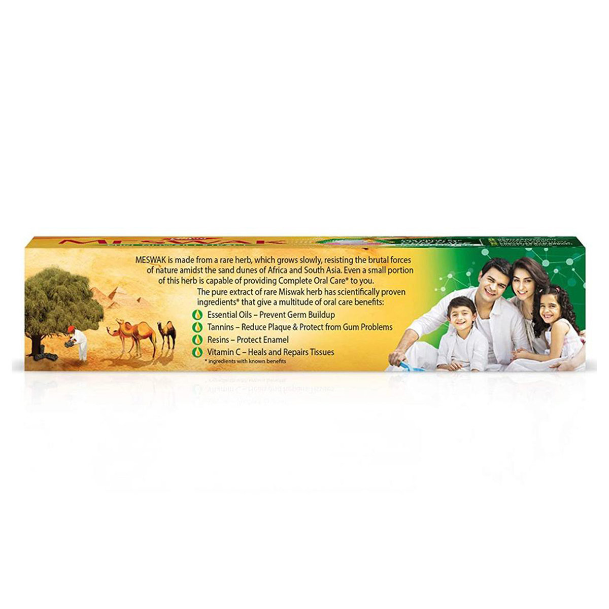 Dabur Meswak Complete Tooth & Gum Care Toothpaste, 100 gm, Pack of 1 Dabur Meswak Complete Tooth & Gum Care Toothpaste, 100 gm, Pack of 1