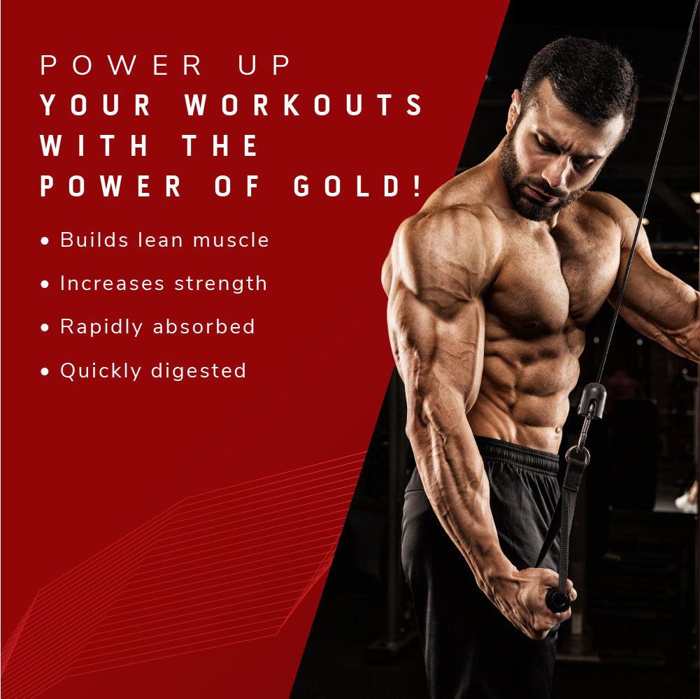 MuscleTech Nitrotech 100% Whey Gold Double Rich Chocolate Flavour Powder, 450 gm, Pack of 1 MuscleTech Nitrotech 100% Whey Gold Double Rich Chocolate Flavour Powder, 450 gm, Pack of 1