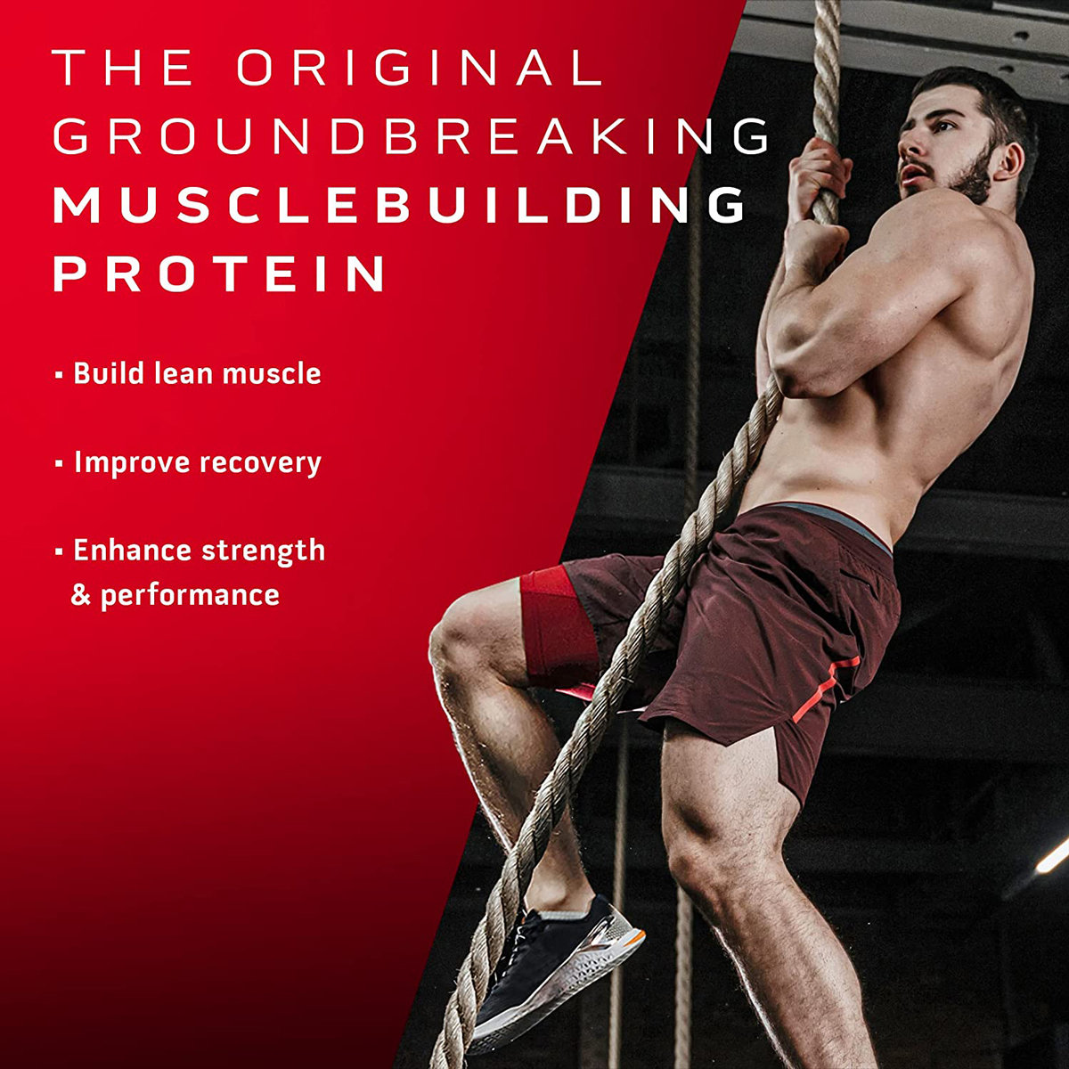 Muscletech Nitrotech Whey Protein Milk Chocolate Flavour Powder, 450 gm, Pack of 1 Muscletech Nitrotech Whey Protein Milk Chocolate Flavour Powder, 450 gm, Pack of 1