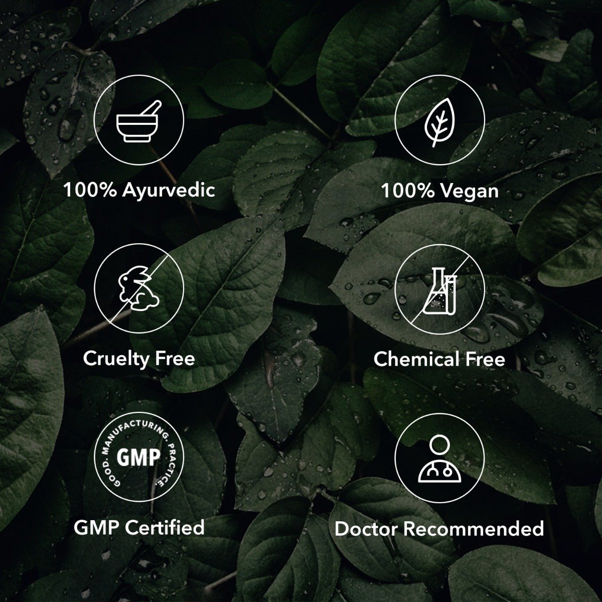 Namyaa Anartava for Delayed & Irregular Periods Syrup, 500 ml, Pack of 1 Namyaa Anartava for Delayed & Irregular Periods Syrup, 500 ml, Pack of 1