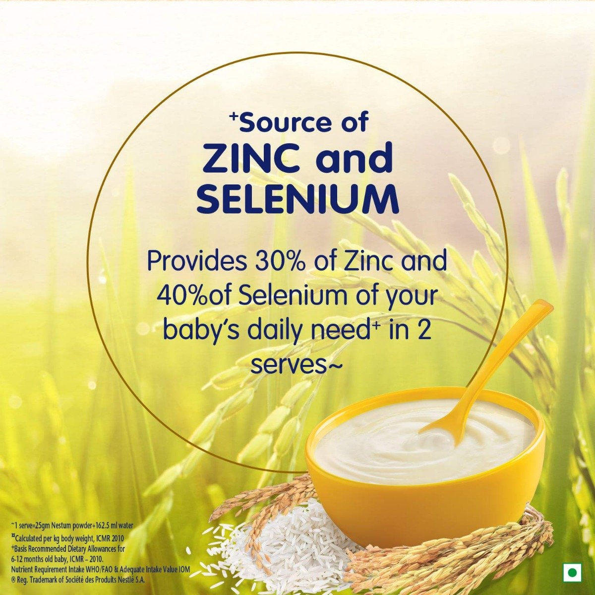 Nestle Nestum Baby Cereal Rice (After 6 Months) Powder, 300 gm Refill Pack, Pack of 1 Nestle Nestum Baby Cereal Rice (After 6 Months) Powder, 300 gm Refill Pack, Pack of 1