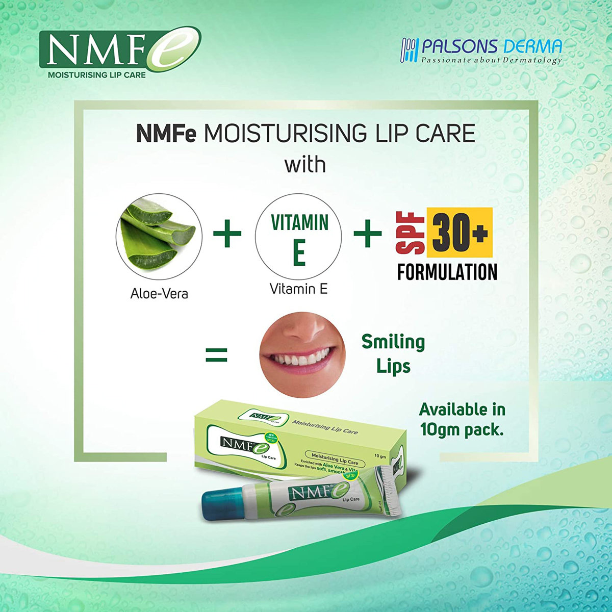 Nmfe Lip Care, 10 gm, Pack of 1 Nmfe Lip Care, 10 gm, Pack of 1