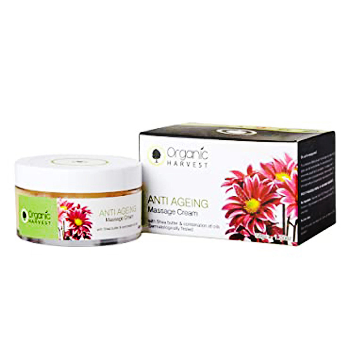 Organic Harvest Anti Ageing Massage Cream 50 gm | Shea Butter & Combination Of Oils | Fights Signs OF Ageing - Fine Lines & Wrinkles, Pack of 1 Organic Harvest Anti Ageing Massage Cream 50 gm | Shea Butter & Combination Of Oils | Fights Signs OF Ageing - Fine Lines & Wrinkles, Pack of 1