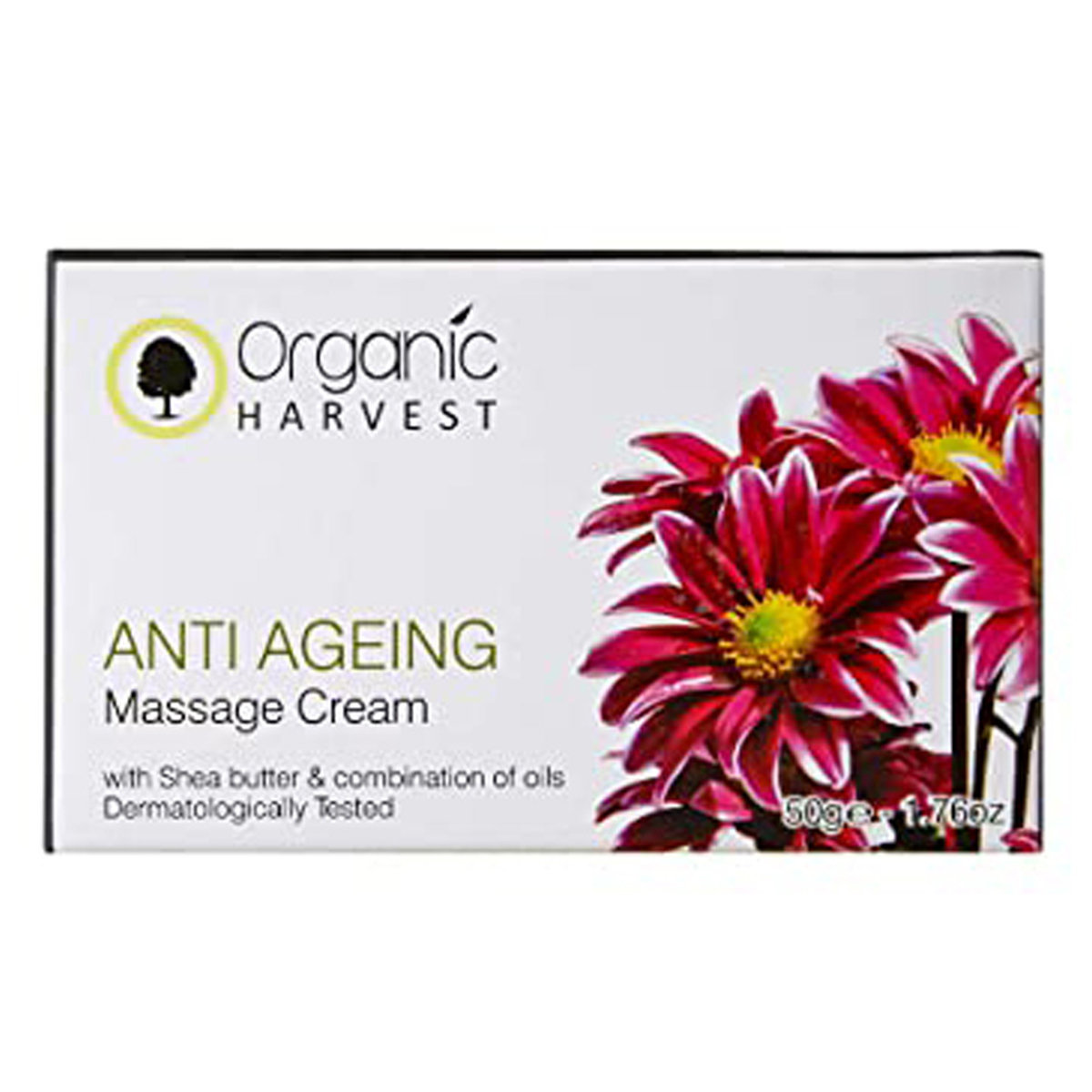 Organic Harvest Anti Ageing Massage Cream 50 gm | Shea Butter & Combination Of Oils | Fights Signs OF Ageing - Fine Lines & Wrinkles, Pack of 1 Organic Harvest Anti Ageing Massage Cream 50 gm | Shea Butter & Combination Of Oils | Fights Signs OF Ageing - Fine Lines & Wrinkles, Pack of 1