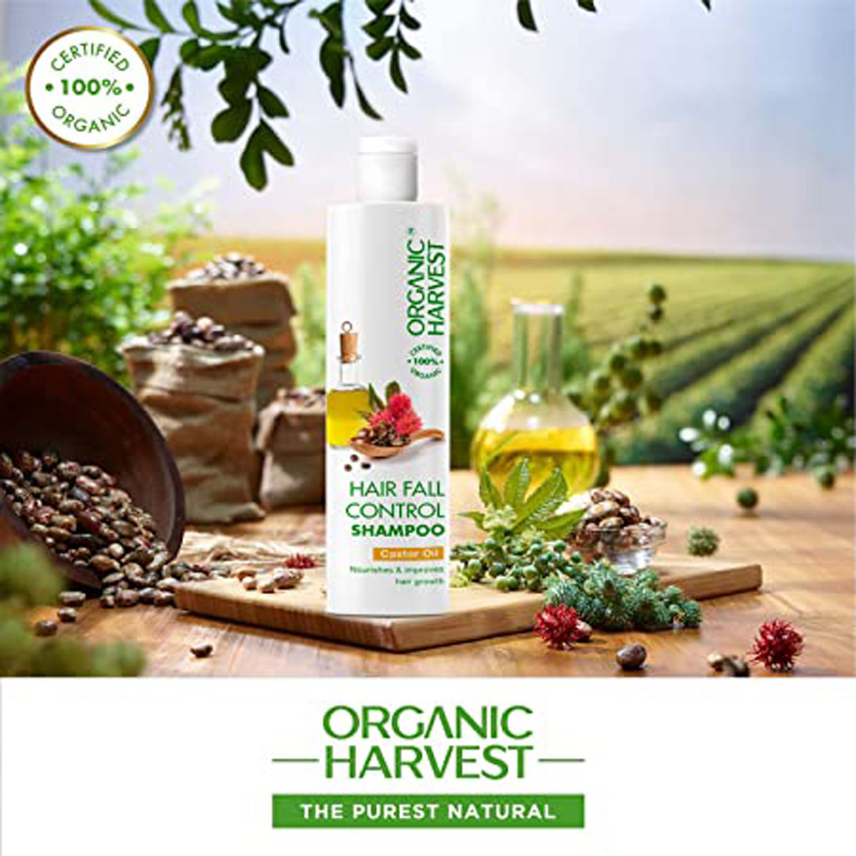 Organic Harvest Hairfall Control Shampoo, 225 ml, Pack of 1 Organic Harvest Hairfall Control Shampoo, 225 ml, Pack of 1