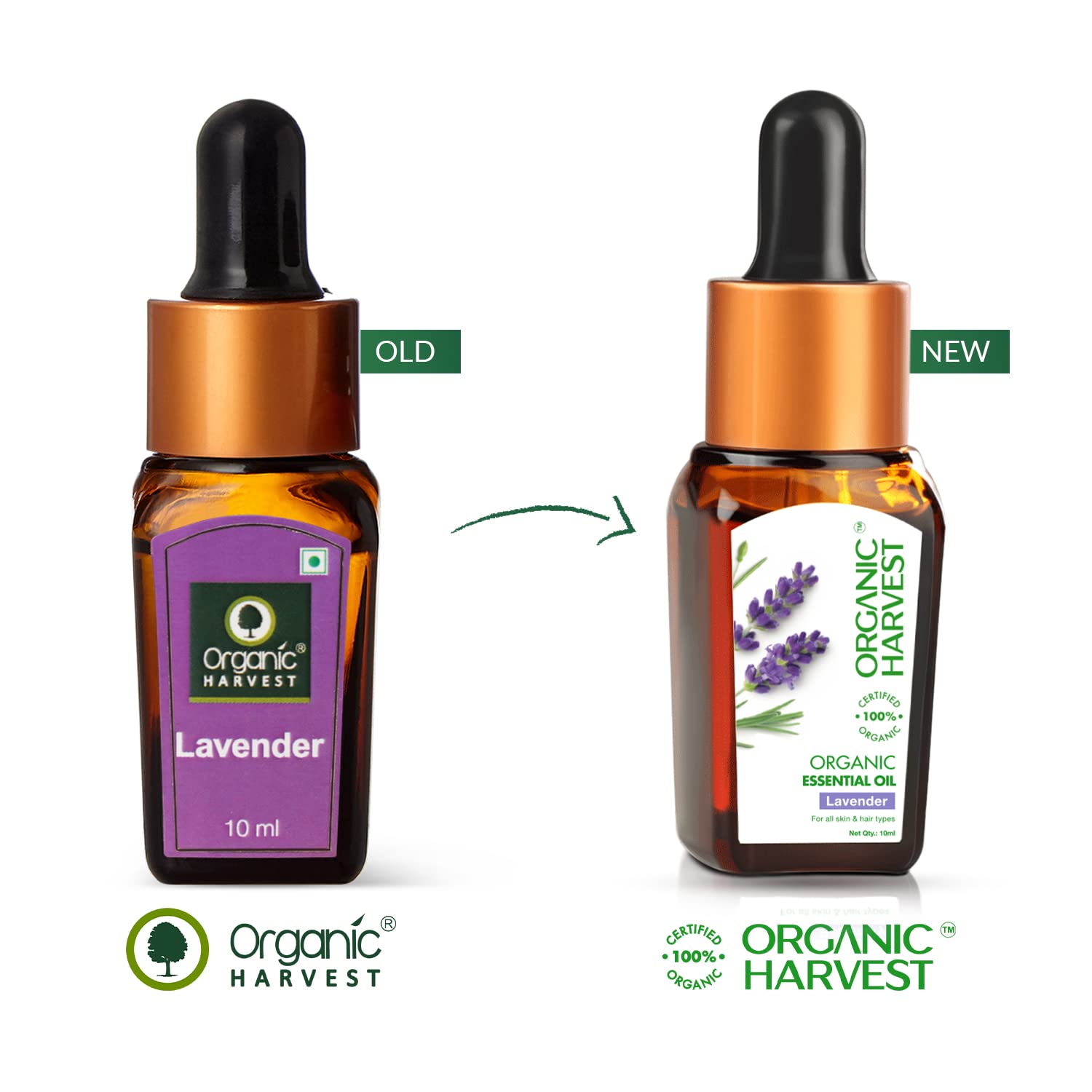 Organic Harvest Lavender Essential Oil 10 ml | 100% Certified Organic | For All Skin & Hair Type, Pack of 1 Organic Harvest Lavender Essential Oil 10 ml | 100% Certified Organic | For All Skin & Hair Type, Pack of 1